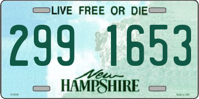 NH license plate 2991653