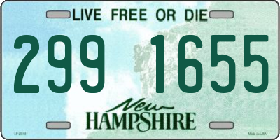 NH license plate 2991655