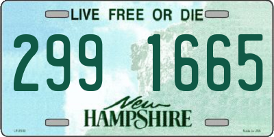 NH license plate 2991665