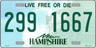 NH license plate 2991667