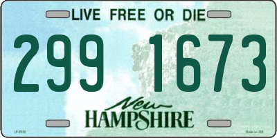 NH license plate 2991673