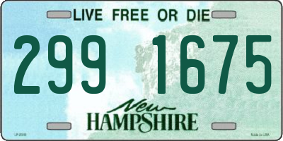 NH license plate 2991675