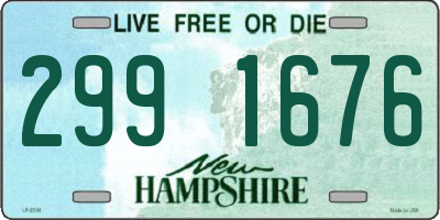 NH license plate 2991676