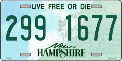 NH license plate 2991677