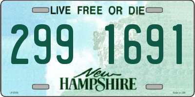 NH license plate 2991691