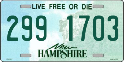 NH license plate 2991703