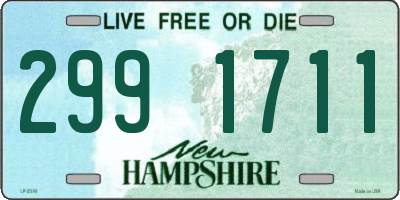 NH license plate 2991711