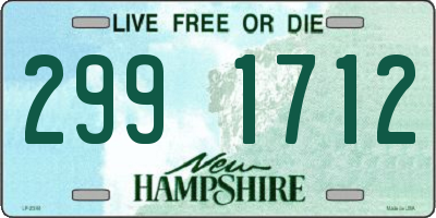 NH license plate 2991712