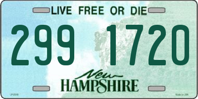 NH license plate 2991720