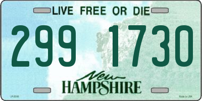 NH license plate 2991730