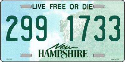 NH license plate 2991733