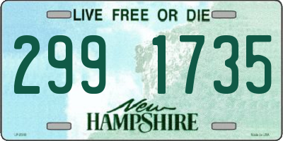 NH license plate 2991735