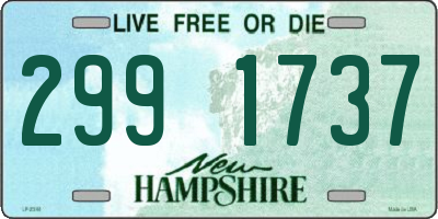 NH license plate 2991737