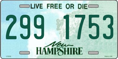 NH license plate 2991753