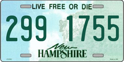 NH license plate 2991755