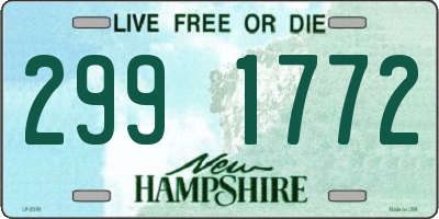 NH license plate 2991772