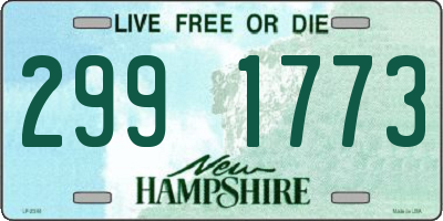 NH license plate 2991773