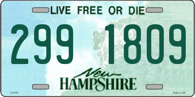 NH license plate 2991809