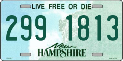 NH license plate 2991813