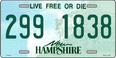 NH license plate 2991838