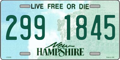 NH license plate 2991845