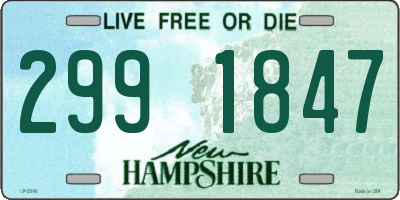 NH license plate 2991847