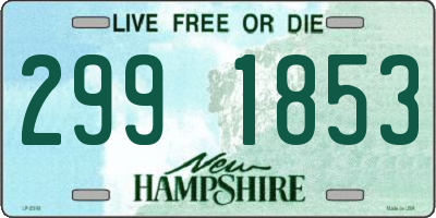 NH license plate 2991853