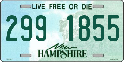NH license plate 2991855
