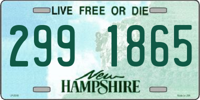 NH license plate 2991865