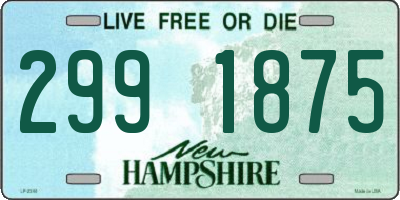 NH license plate 2991875