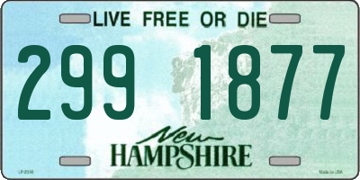 NH license plate 2991877