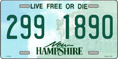 NH license plate 2991890