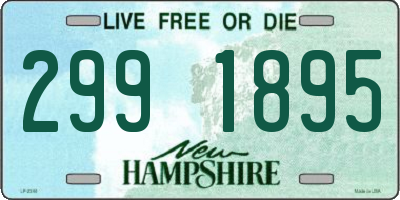NH license plate 2991895