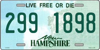 NH license plate 2991898