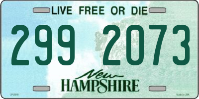 NH license plate 2992073