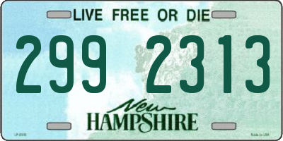 NH license plate 2992313
