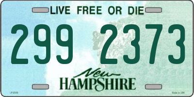 NH license plate 2992373