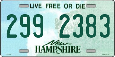 NH license plate 2992383