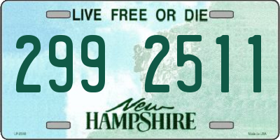 NH license plate 2992511