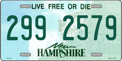 NH license plate 2992579