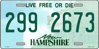 NH license plate 2992673