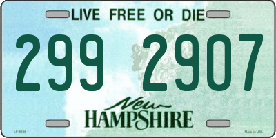 NH license plate 2992907