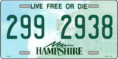 NH license plate 2992938