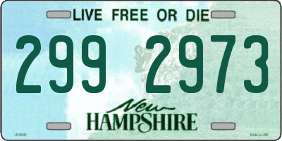 NH license plate 2992973