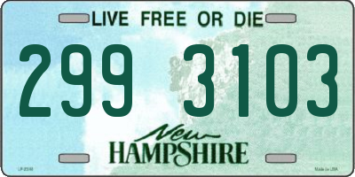 NH license plate 2993103