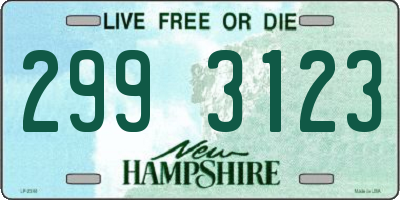NH license plate 2993123