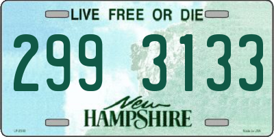 NH license plate 2993133