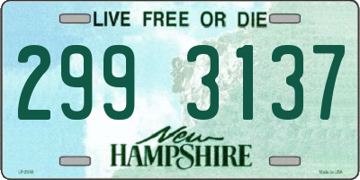 NH license plate 2993137