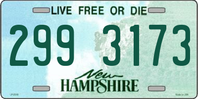 NH license plate 2993173