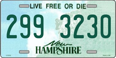 NH license plate 2993230